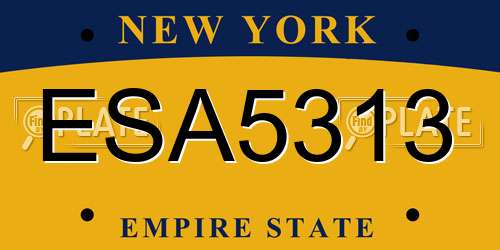 ESA5313 New York License Plate
