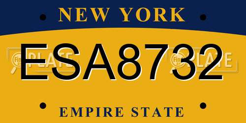 ESA8732 New York License Plate