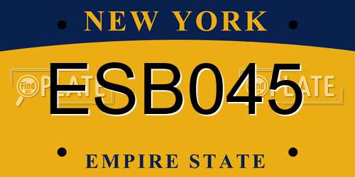 ESB045 New York License Plate