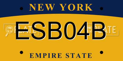 ESB04B New York License Plate