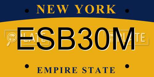 ESB30M New York License Plate
