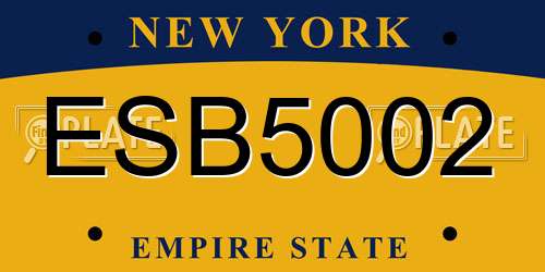 ESB5002 New York License Plate