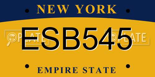 ESB545 New York License Plate