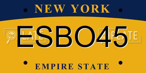 ESBO45 New York License Plate