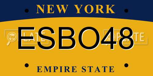 ESBO48 New York License Plate