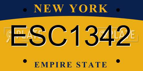 ESC1342 New York License Plate
