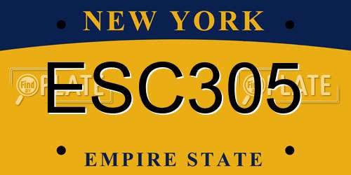 ESC305 New York License Plate