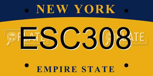 ESC308 New York License Plate