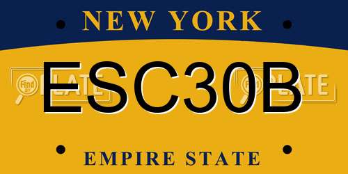 ESC30B New York License Plate
