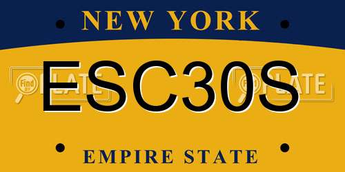 ESC30S New York License Plate