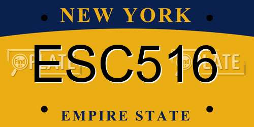 ESC516 New York License Plate