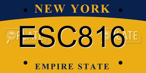 ESC816 New York License Plate