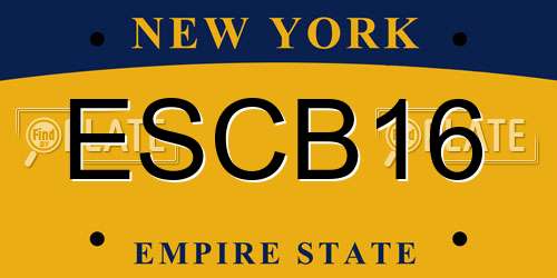ESCB16 New York License Plate