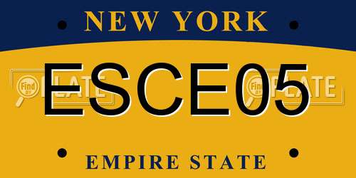 ESCE05 New York License Plate