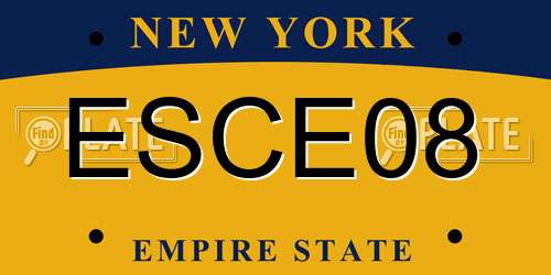 ESCE08 New York License Plate