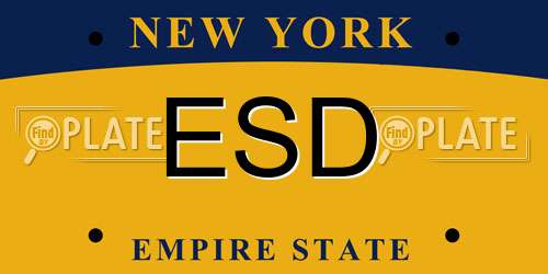 ESD New York License Plate