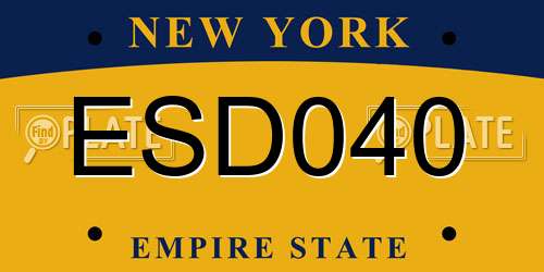 ESD040 New York License Plate
