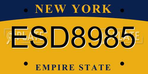 ESD8985 New York License Plate