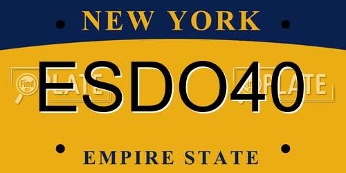 ESDO40 New York License Plate