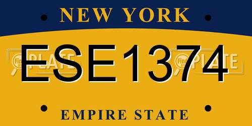 ESE1374 New York License Plate