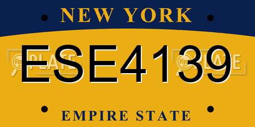 ESE4139 New York License Plate