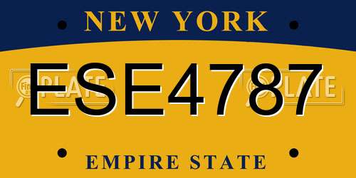 ESE4787 New York License Plate