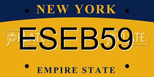 ESEB59 New York License Plate
