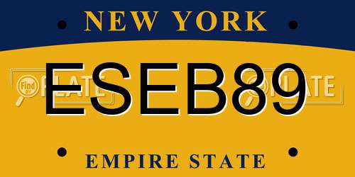 ESEB89 New York License Plate