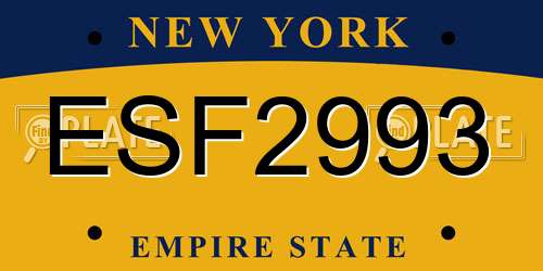 ESF2993 New York License Plate
