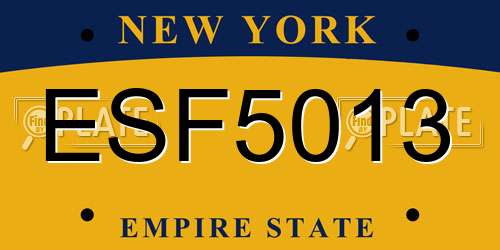 ESF5013 New York License Plate