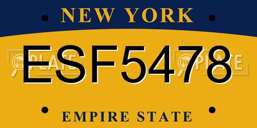 ESF5478 New York License Plate