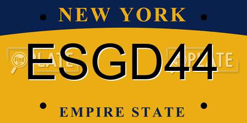 ESGD44 New York License Plate