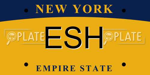 ESH New York License Plate