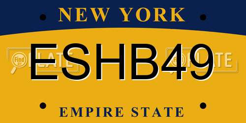ESHB49 New York License Plate