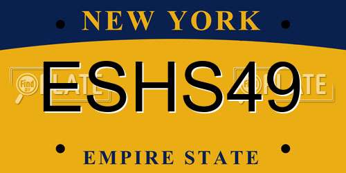ESHS49 New York License Plate