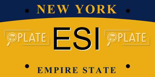 ESI New York License Plate
