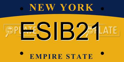 ESIB21 New York License Plate