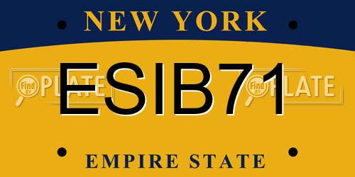 ESIB71 New York License Plate