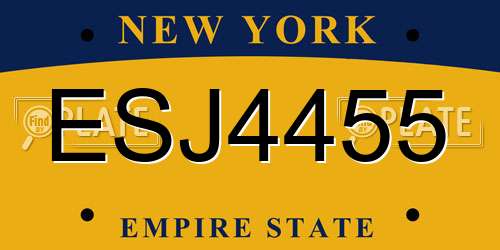 ESJ4455 New York License Plate
