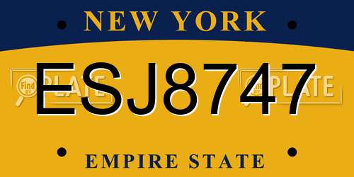 ESJ8747 New York License Plate