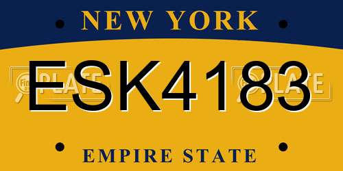 ESK4183 New York License Plate