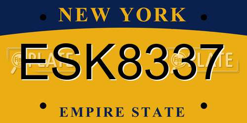 ESK8337 New York License Plate
