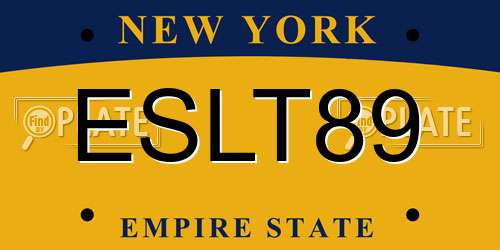 ESLT89 New York License Plate