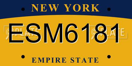 ESM6181 New York License Plate