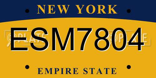 ESM7804 New York License Plate