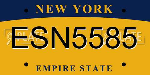 ESN5585 New York License Plate
