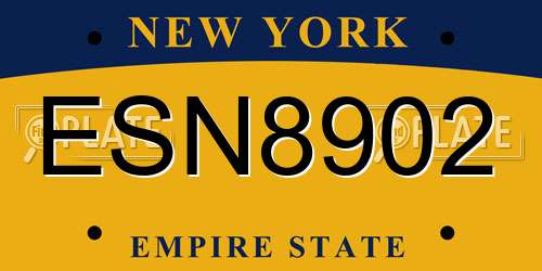 ESN8902 New York License Plate
