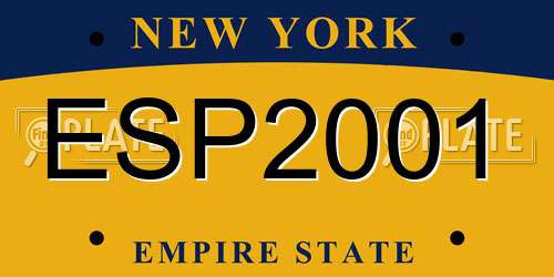 ESP2001 New York License Plate