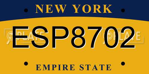 ESP8702 New York License Plate