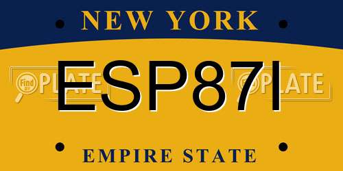 ESP87I New York License Plate